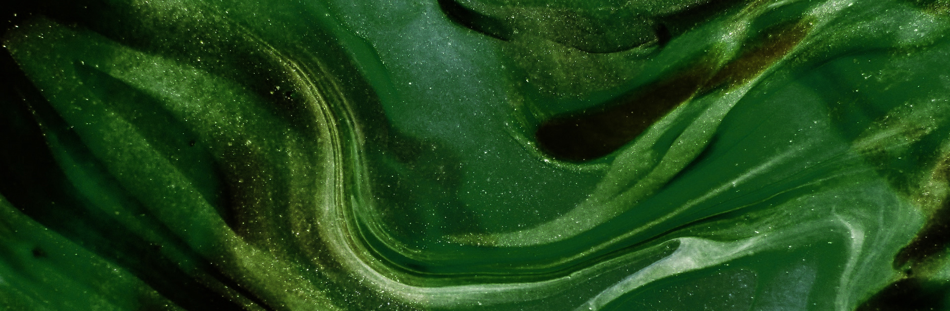 banner - SBPJOR 2021 banner - SBPJOR 2021