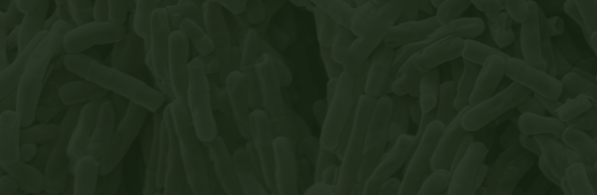 banner - CPM-2021