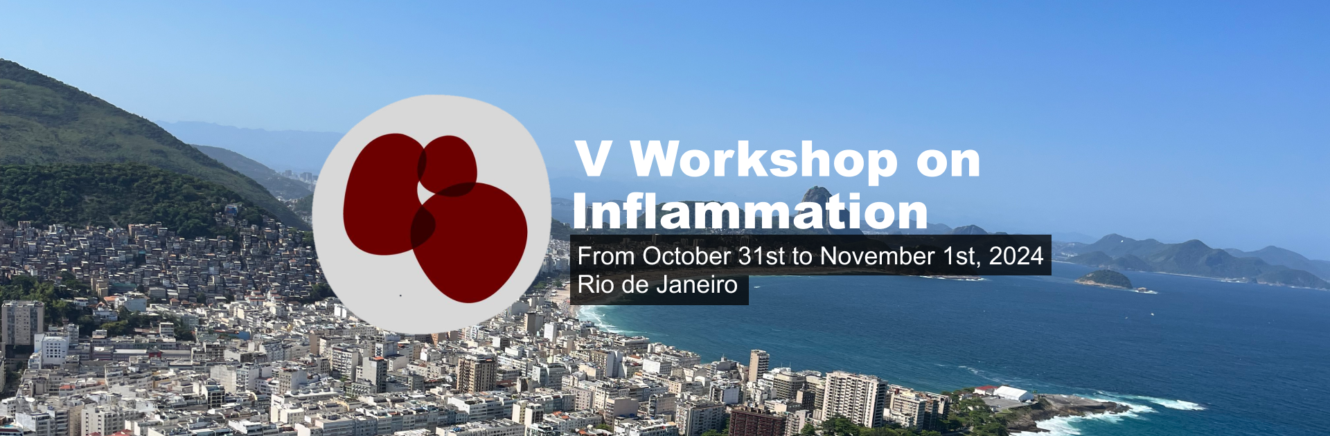 banner - V Workshop On Inflammation banner - V Workshop On Inflammation