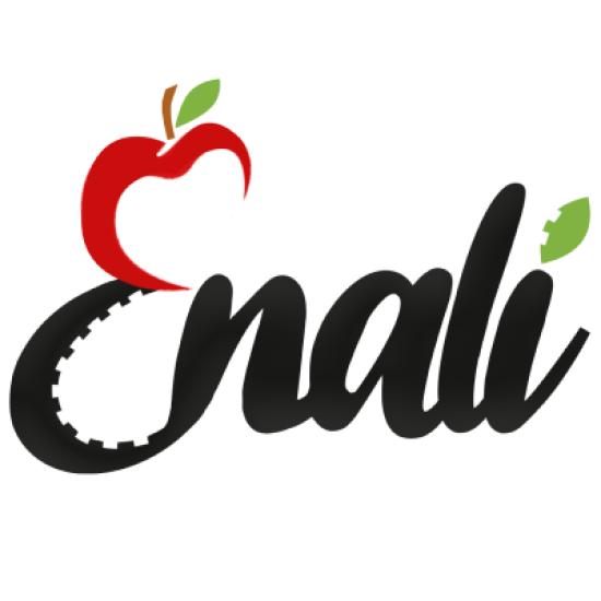 ENALI 2024logo