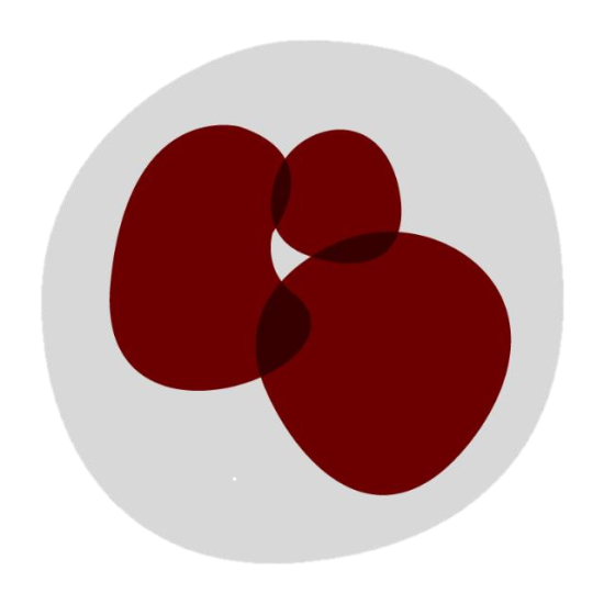 VI Workshop On Inflammationlogo