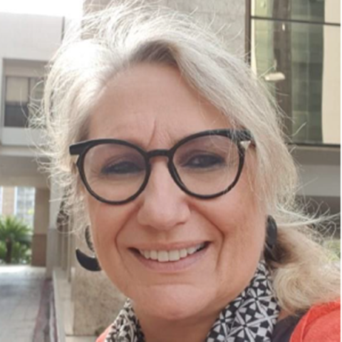 Mary Ann Foglio