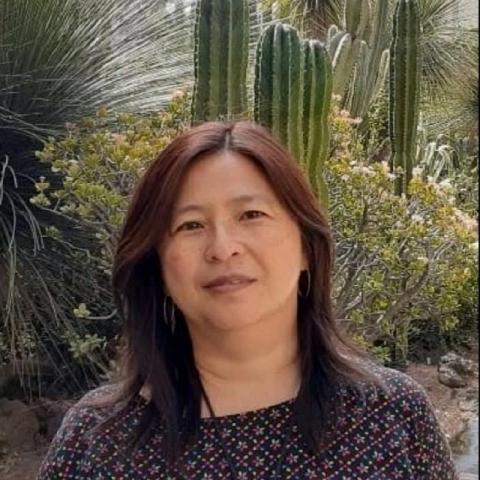 Sueli Harumi Kakinami