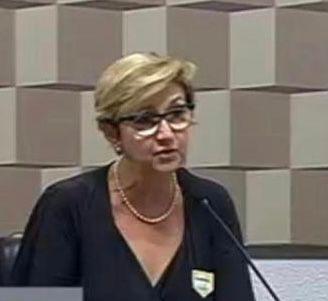 Maria Luiza Sussekind