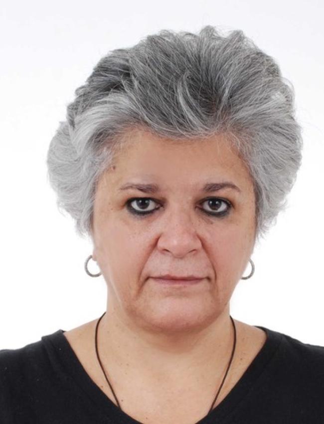 Izabella Mônica Vieira Teixeira 