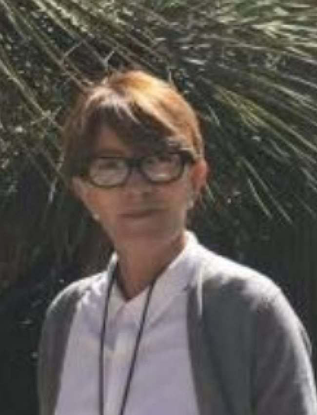 Deborah Macedo Duprat de Britto Pereira