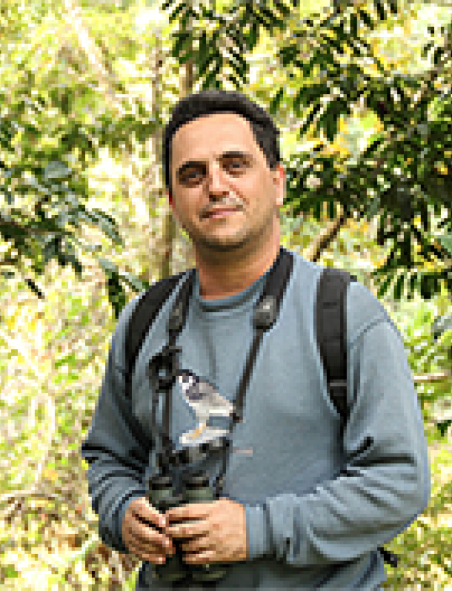 Luís Fábio Silveira