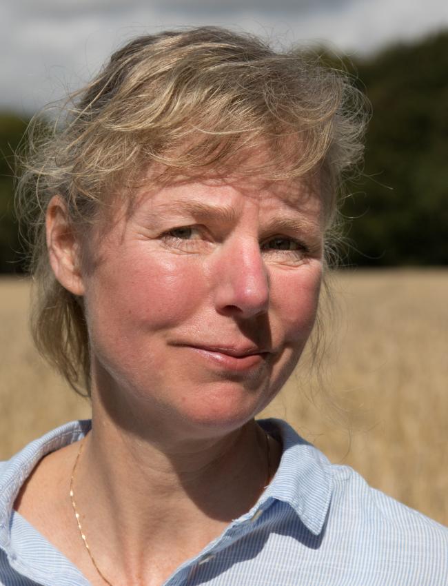 Anne Nilsson