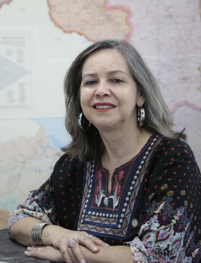 Claudia Borges Costa Claudia Borges Costa
