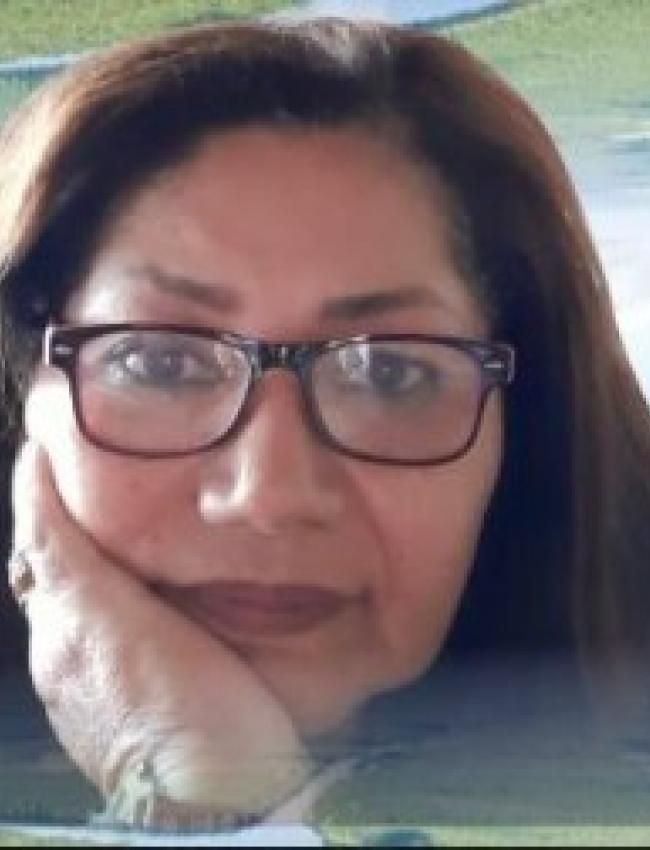 Marilene Corrêa da Silva Freitas
