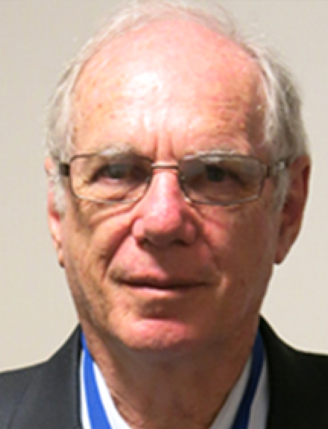 Martin Schmal