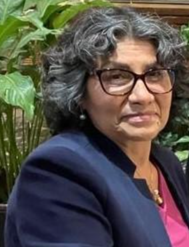Rosa N. Chávez-Jáuregui