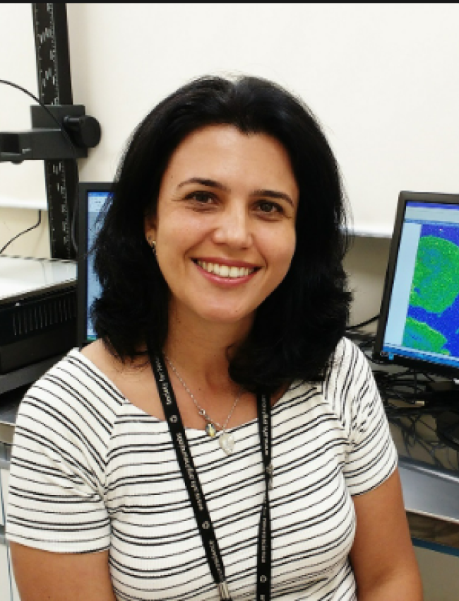 Tânia Araújo Viel