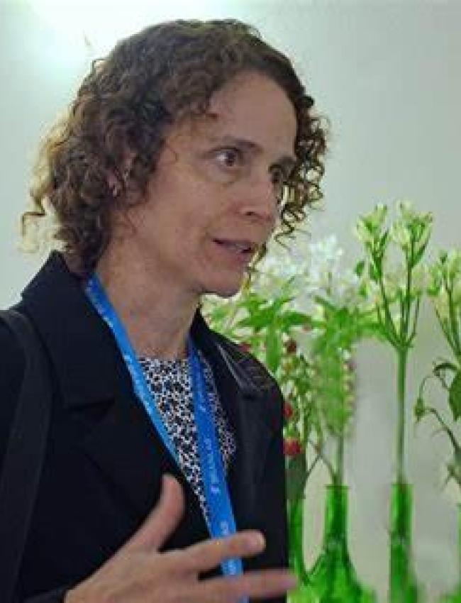 Gabriela Castellano Gabriela Castellano