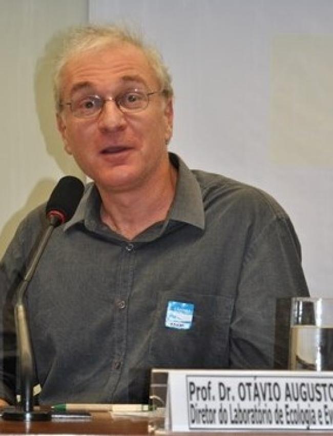 Otavio Augusto Vuolo Marques Otavio Augusto Vuolo Marques