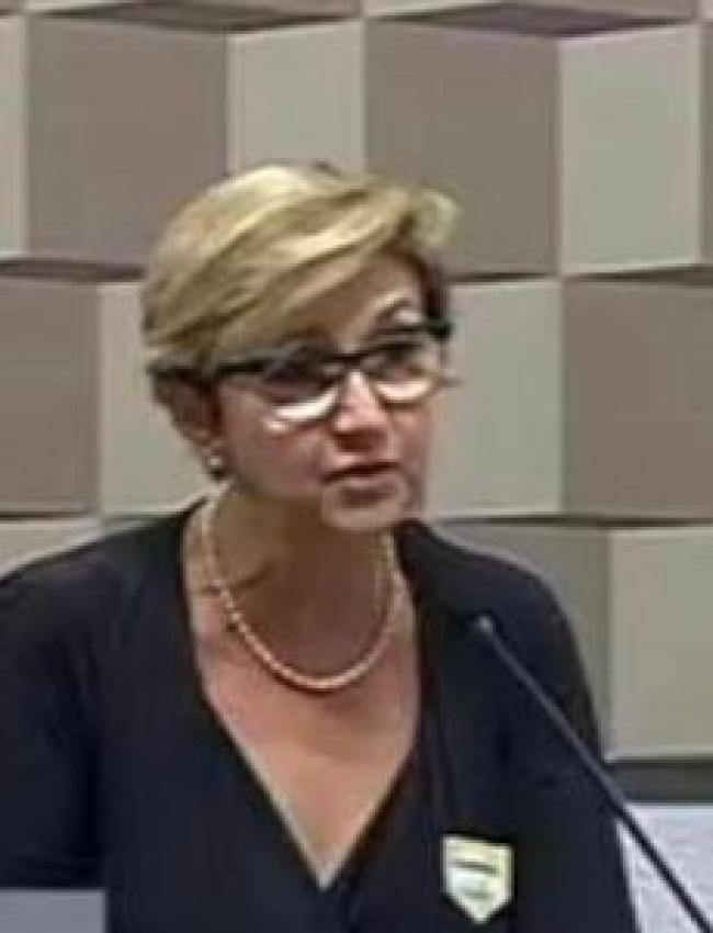 Maria Luiza Sussekind