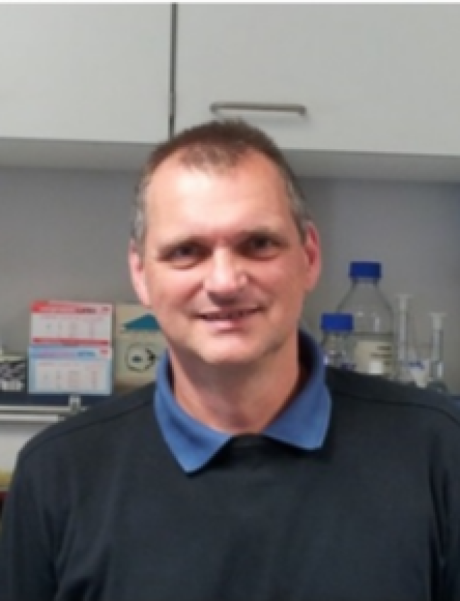 Ulrich Krings